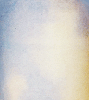 ドメーヌ・ラファエル・ギュイョ・ヴァン・ド・フランス・ブラン・セレネ 2024