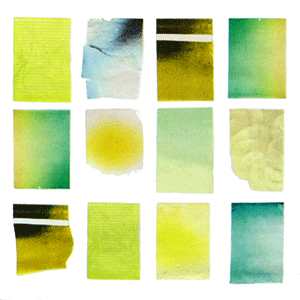 ドメーヌ・ラファエル・ギュイョ・ヴァン・ド・フランス・ブラン・アマルテ 2024