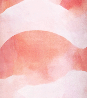 ドメーヌ・ラファエル・ギュイョ・IGP リョンヌ・ルージュ・キュヴェ・ユニーク 2024