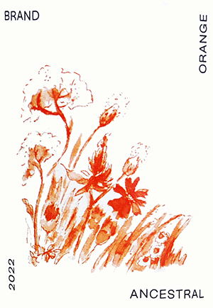 ブランド・ブロス / ヴァイングート・ブランド・アンセストラル・オレンジ 2022
