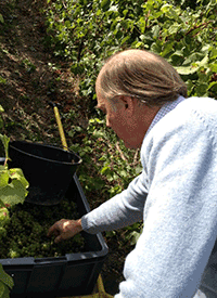 レ・シャンパーニュ・デュ・シャトー・ダヴィズ　LES CHAMPAGNES du CHATEAU D'AVIZE