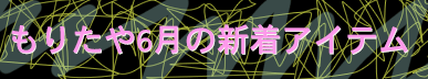 もりたや2024年6月の新着アイテム