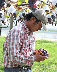 小山田幸紀